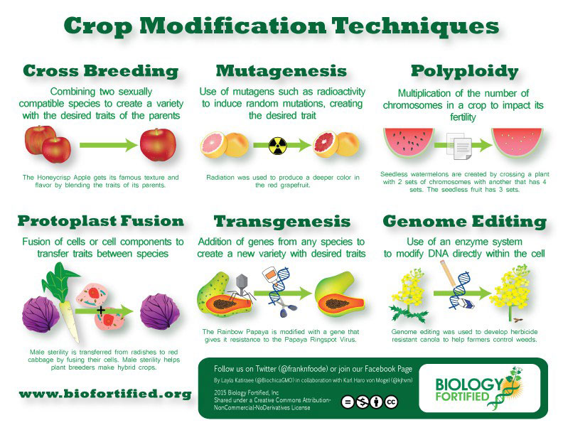 Figure 1: various crop modification techniques used to select for desirable traits in organisms.