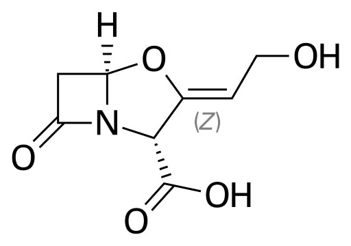 Figure 4. Structural Formula of Clavulanic Acid. Source: Fvasconcellos