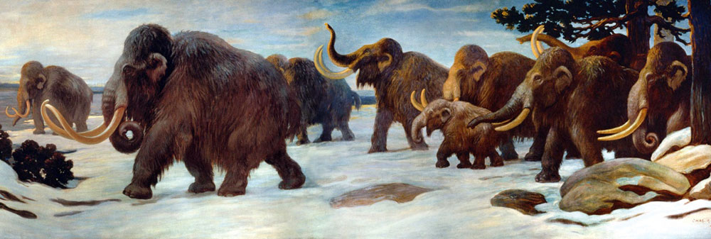 Figure 3: Woolly mammoths near the Somme River, American Museum of Natural History mural.
