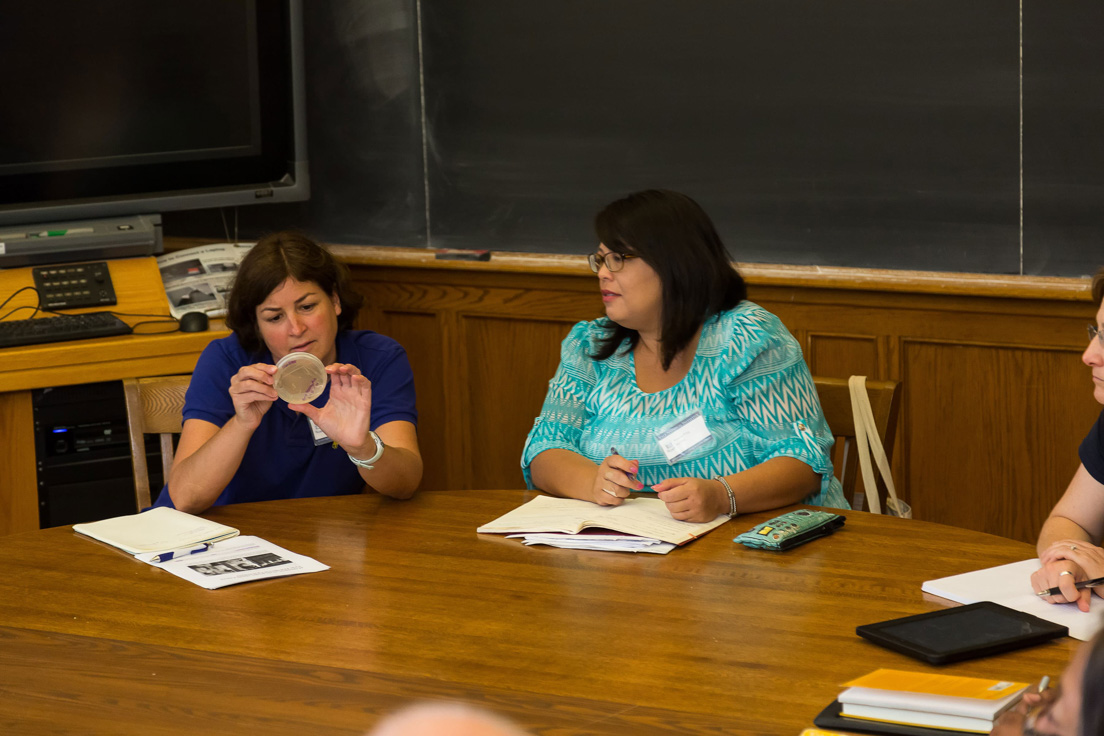 The national seminar on "Microbes Rule!" July 2014. (From left to right: National Fellows Valerie J. Schwarz, Richmond; and Vanessa Vitug, San José.)