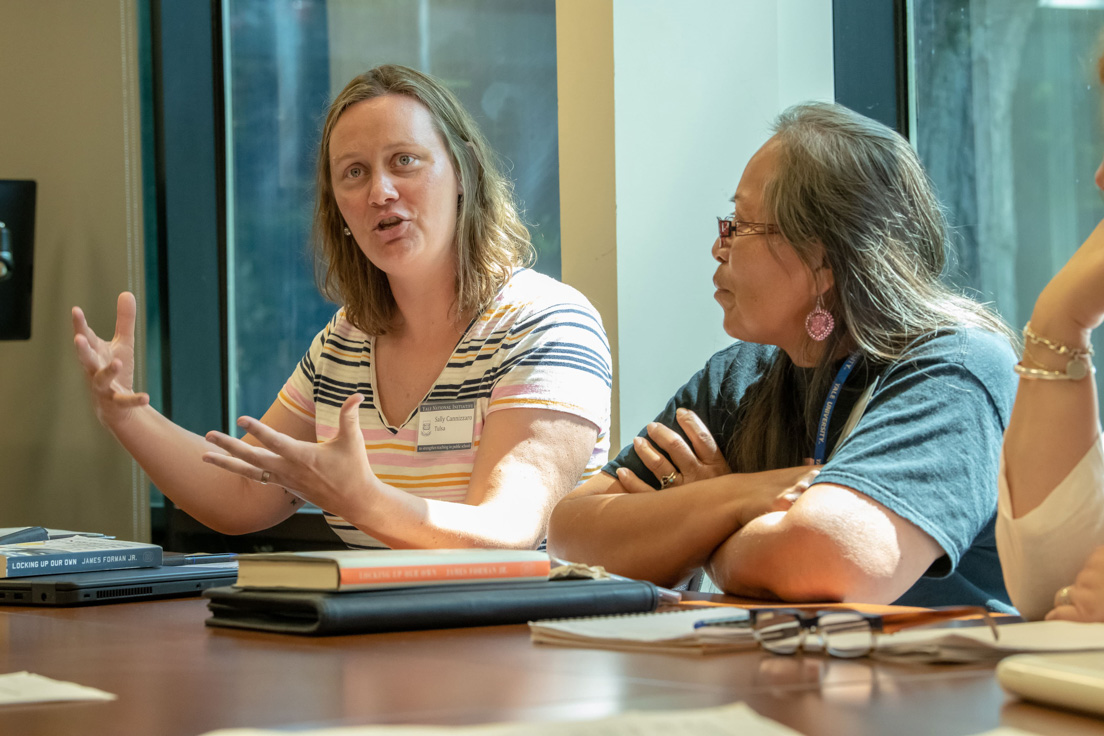 The national seminar on "The Problem of Mass Incarceration," James Forman, Jr., Professor of Law at Yale University, July 2019.