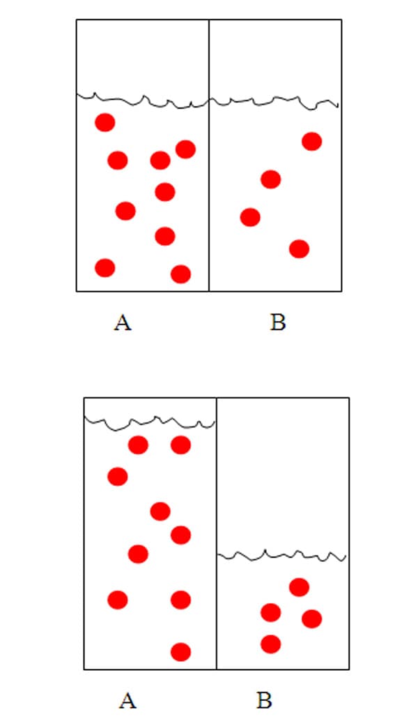 image 11.07.07.01
