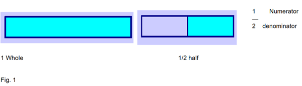 Whole strip of paper, half strip of paper