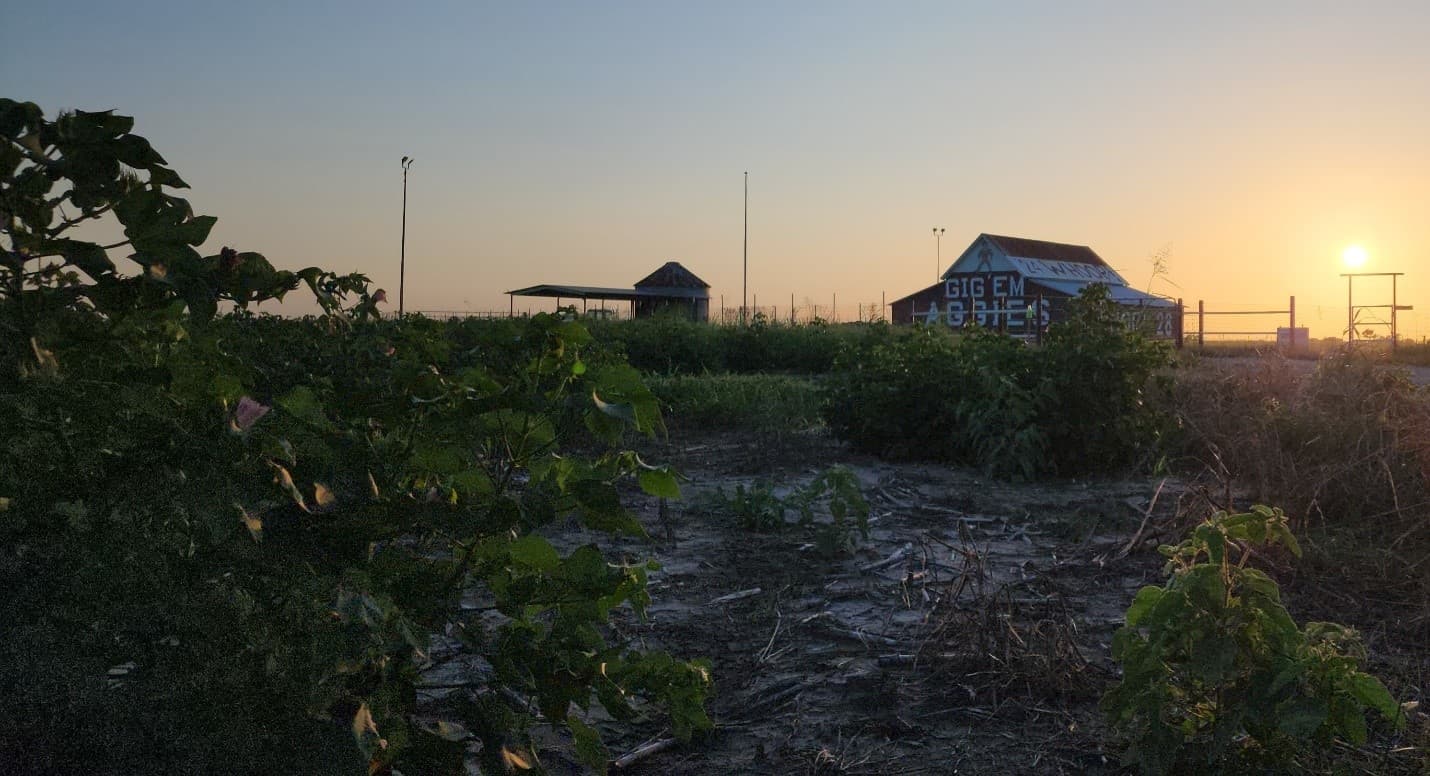 Image of a Texas A and M Barn