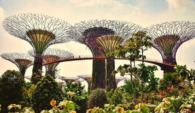 Gardens by the Bay