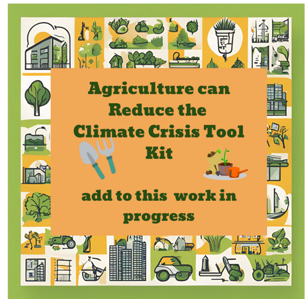 Our climate toolkit graphic and project choices for student capstone projects